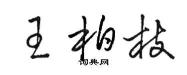 駱恆光王柏枝草書個性簽名怎么寫