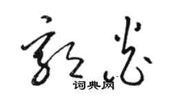 駱恆光郭炎草書個性簽名怎么寫