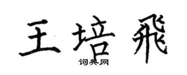 何伯昌王培飛楷書個性簽名怎么寫