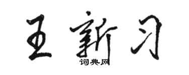駱恆光王新習行書個性簽名怎么寫