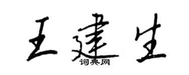 王正良王建生行書個性簽名怎么寫