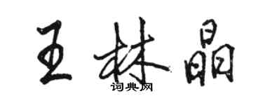 駱恆光王林晶行書個性簽名怎么寫