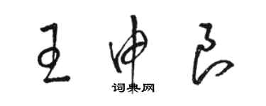 駱恆光王申良草書個性簽名怎么寫