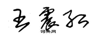 朱錫榮王震紅草書個性簽名怎么寫