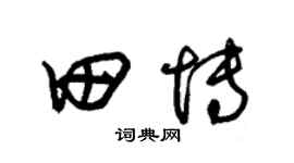 朱錫榮田博草書個性簽名怎么寫