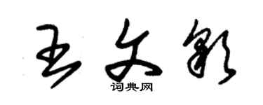 朱錫榮王文彩草書個性簽名怎么寫