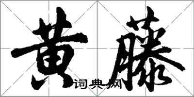 胡問遂黃藤行書怎么寫