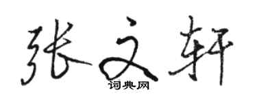 駱恆光張文軒行書個性簽名怎么寫