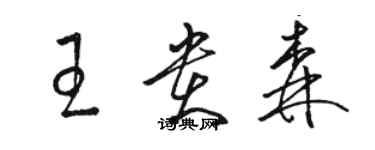 駱恆光王貴森草書個性簽名怎么寫