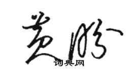 駱恆光黃盼草書個性簽名怎么寫