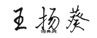 駱恆光王揚葵行書個性簽名怎么寫