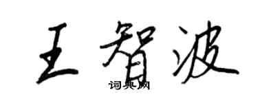 王正良王智波行書個性簽名怎么寫