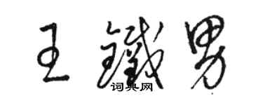 駱恆光王鐵男草書個性簽名怎么寫