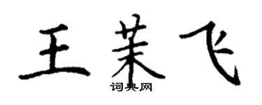 丁謙王茉飛楷書個性簽名怎么寫