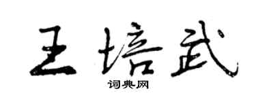 曾慶福王培武行書個性簽名怎么寫