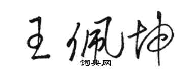 駱恆光王佩坤草書個性簽名怎么寫