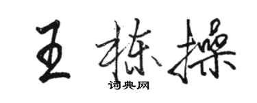 駱恆光王棟操行書個性簽名怎么寫