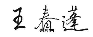 駱恆光王春蓬行書個性簽名怎么寫