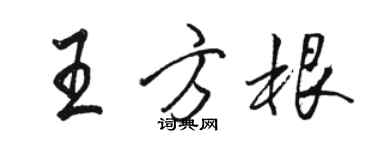 駱恆光王方根行書個性簽名怎么寫