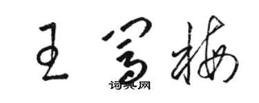 駱恆光王闖梅草書個性簽名怎么寫