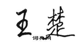 駱恆光王楚行書個性簽名怎么寫