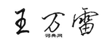 駱恆光王萬雷行書個性簽名怎么寫