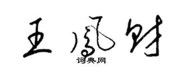梁錦英王鳳財草書個性簽名怎么寫