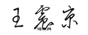 駱恆光王震京草書個性簽名怎么寫