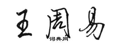 駱恆光王周易行書個性簽名怎么寫