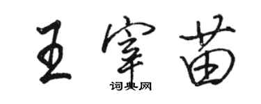 駱恆光王宰苗行書個性簽名怎么寫