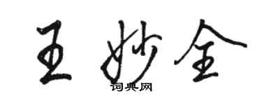 駱恆光王妙全行書個性簽名怎么寫