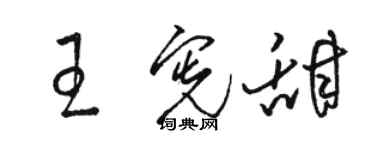 駱恆光王憲甜草書個性簽名怎么寫