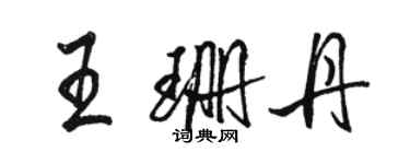 駱恆光王珊丹行書個性簽名怎么寫