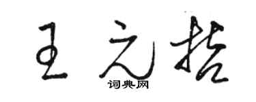 駱恆光王元哲草書個性簽名怎么寫