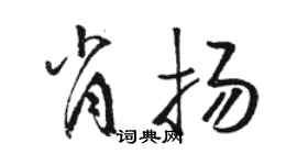 駱恆光肖揚草書個性簽名怎么寫