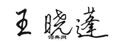 駱恆光王曉蓬行書個性簽名怎么寫