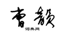 朱錫榮曹韻草書個性簽名怎么寫