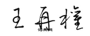 駱恆光王再權草書個性簽名怎么寫