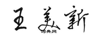 駱恆光王美新行書個性簽名怎么寫