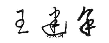 駱恆光王建余草書個性簽名怎么寫