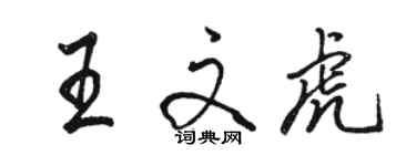 駱恆光王文虎行書個性簽名怎么寫