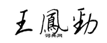 王正良王鳳勁行書個性簽名怎么寫