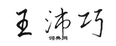 駱恆光王沛巧行書個性簽名怎么寫