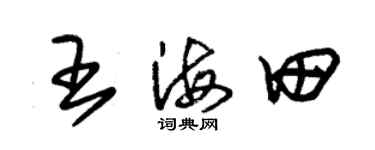 朱錫榮王海田草書個性簽名怎么寫