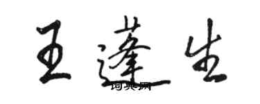 駱恆光王蓬生行書個性簽名怎么寫