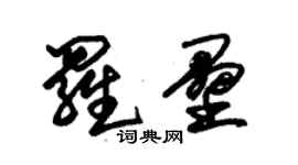 朱錫榮羅壘草書個性簽名怎么寫