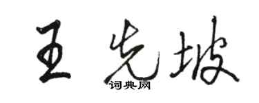 駱恆光王先坡行書個性簽名怎么寫