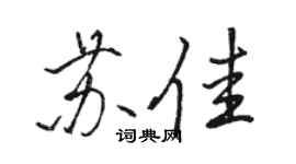 駱恆光蘇佳行書個性簽名怎么寫