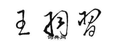 駱恆光王羽習草書個性簽名怎么寫