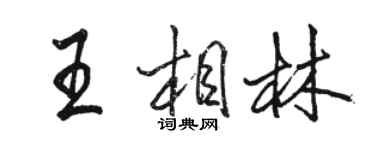 駱恆光王相林行書個性簽名怎么寫